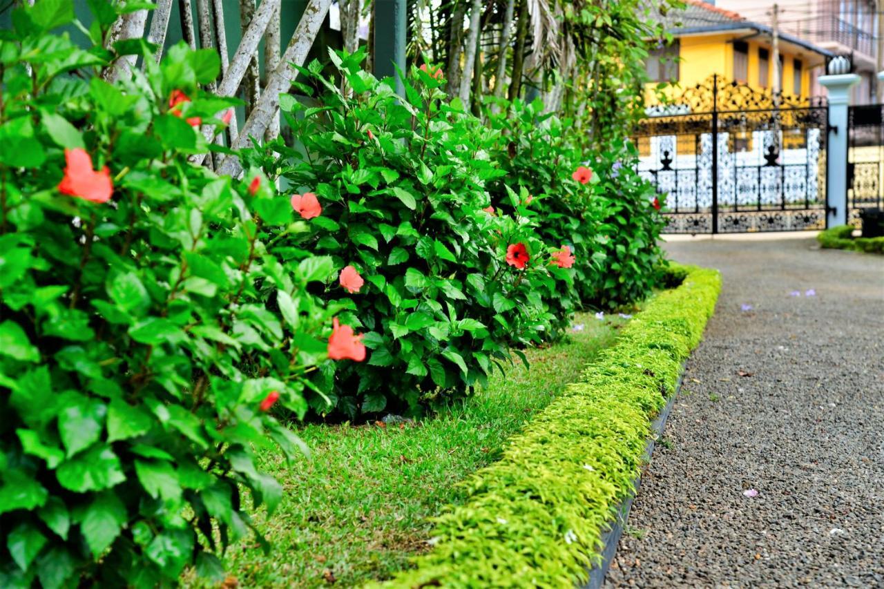 Camellia Dwelling Panzió Hikkaduwa Kültér fotó